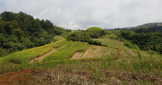 itinéraires randonnées VTT île de la réunion