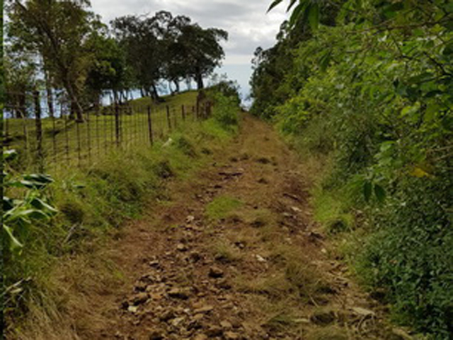 route Bois de Néfles