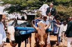 mariage de Jean Louis et Nicole mariage de Jean Louis et Nicole