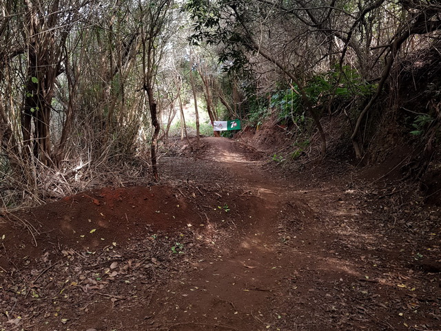 spot descente VTT parcours Downhill DH, Piton Calvaire commune Le Plate St Leu 20 km