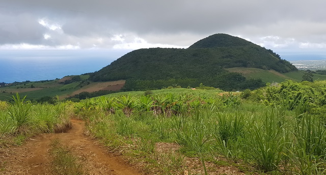 itinéraires randonnées VTT île de la réunion "Piton de Mont Vert"