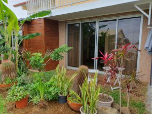 jardin privatif chambre rez-de-chaussée